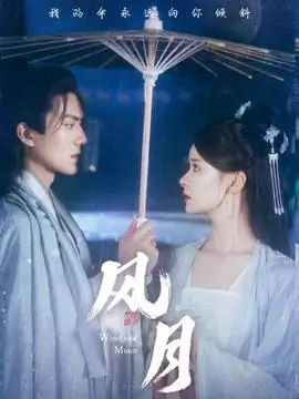 雾港迷局 电视剧全集免费在线看